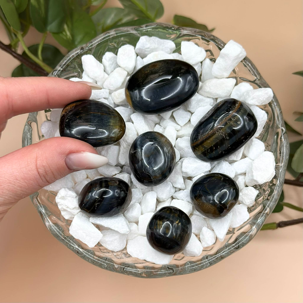 Trumlad falköga